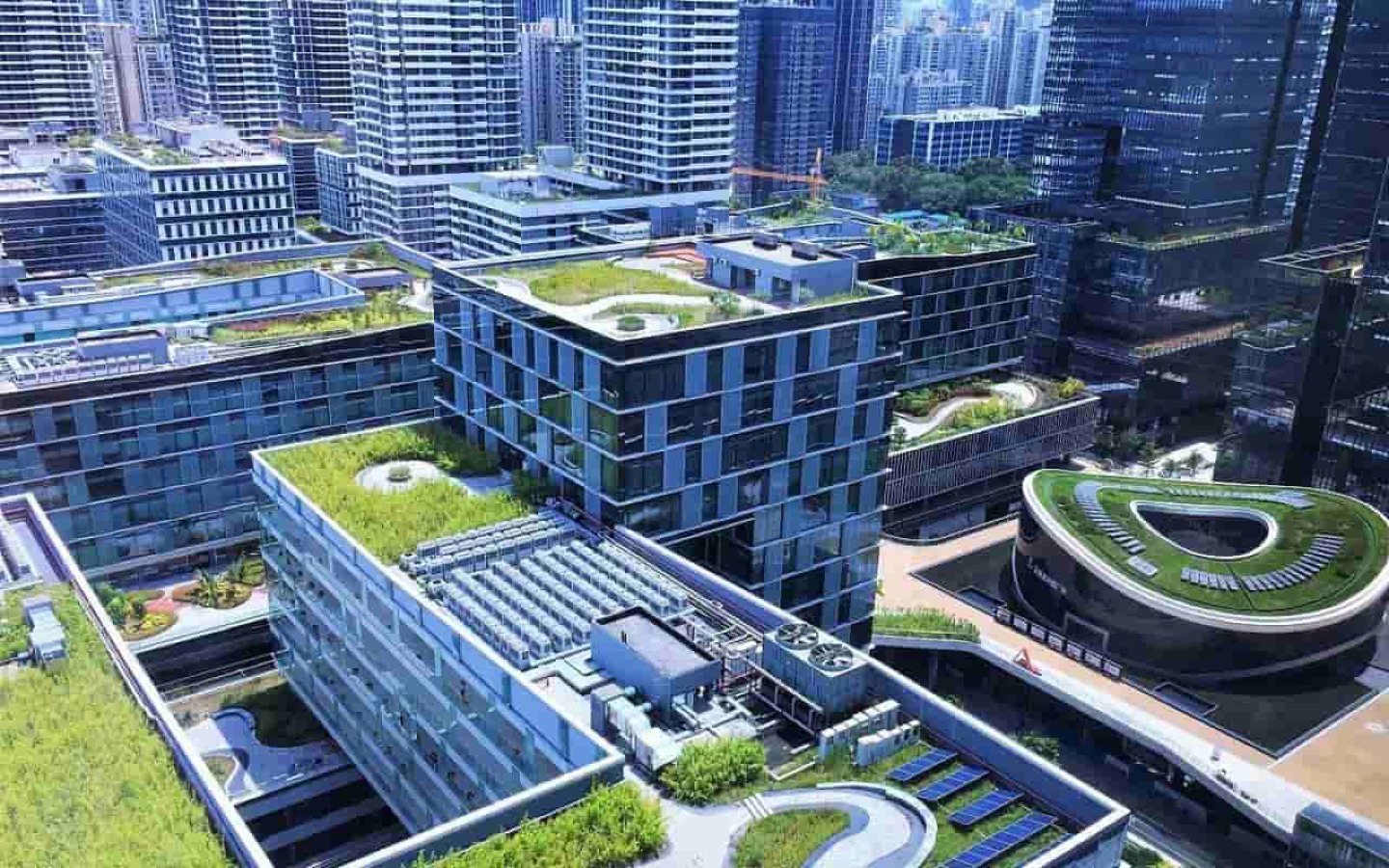 深圳湾科技生态园电梯厅图